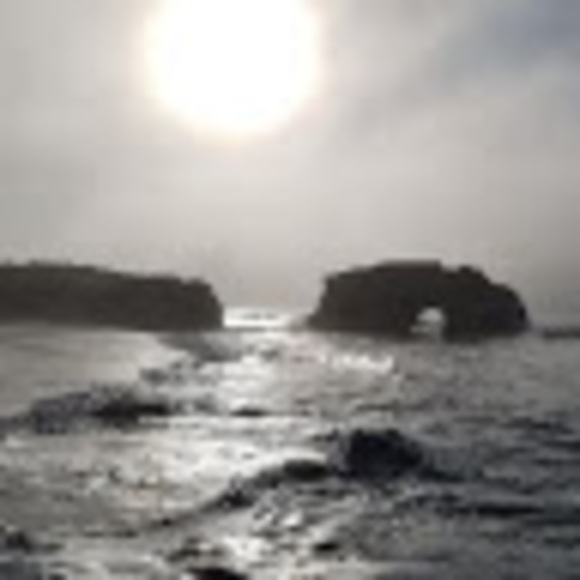 Meet your Posher, Stephanie - Picture 1 of 1